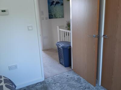 Picture 24